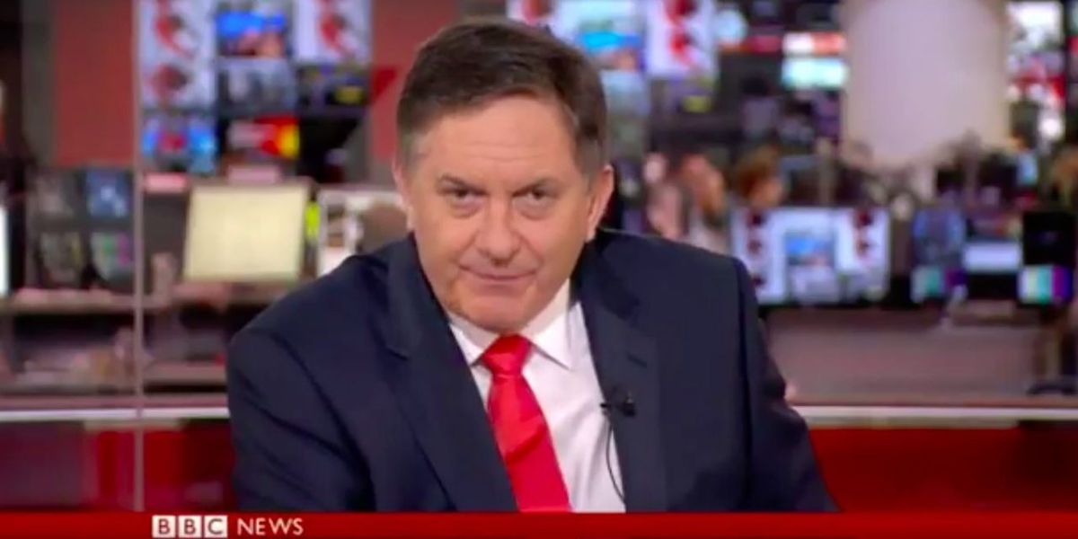 BBC News Anchor Clearly Livid He Has To Do A Segment On Surfing Dogs