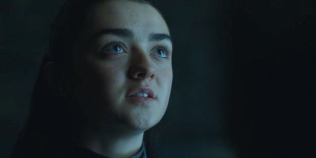 A Pleasing Theory Why Arya Silently Gave Sansa The Catspaw Dagger In Got