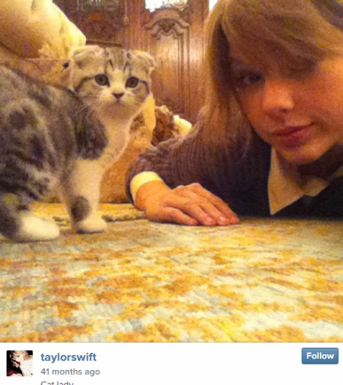 Celebrities With Their Cats - Famous Celebrity Pets