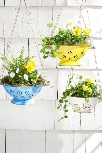 hanging colander planters