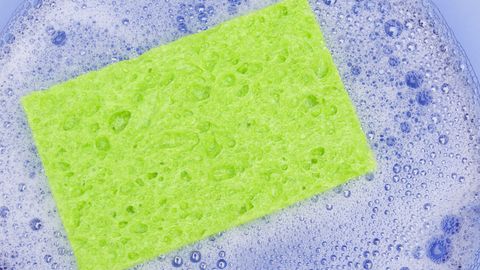 Best Way to Clean a Sponge