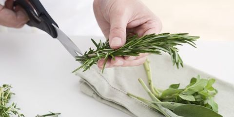 Cutting up herbs with kitchen scissors.