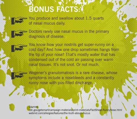 Healthy Mucus Color What Your Snot Color Means Healthy Mucus Color What Your Snot Color Means