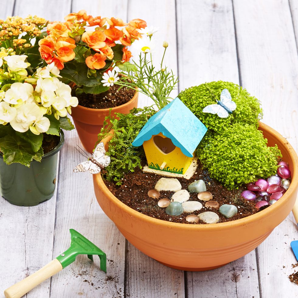 Make a Mini Magic Garden - DIY Fairy Garden