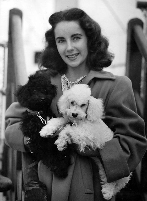 With her two poodles on September 4, 1947. 