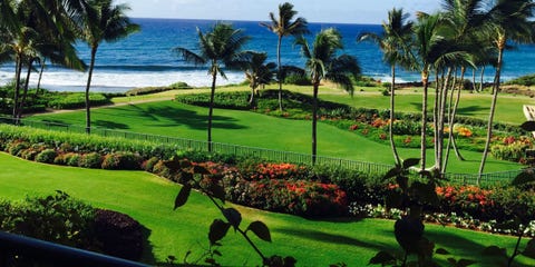 Scenic Hawaii image