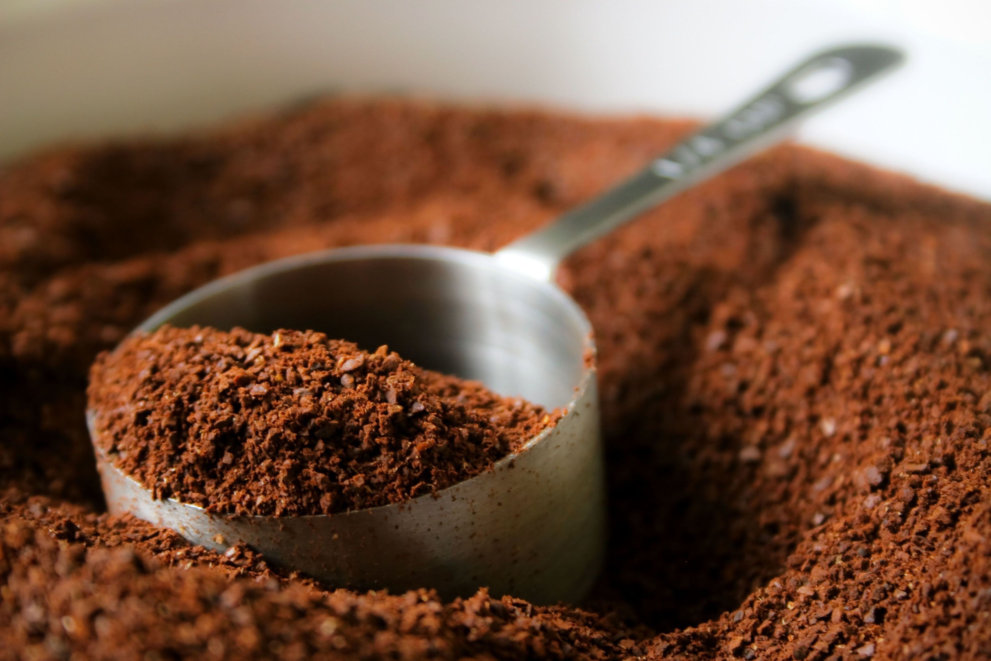 best coffee grounds