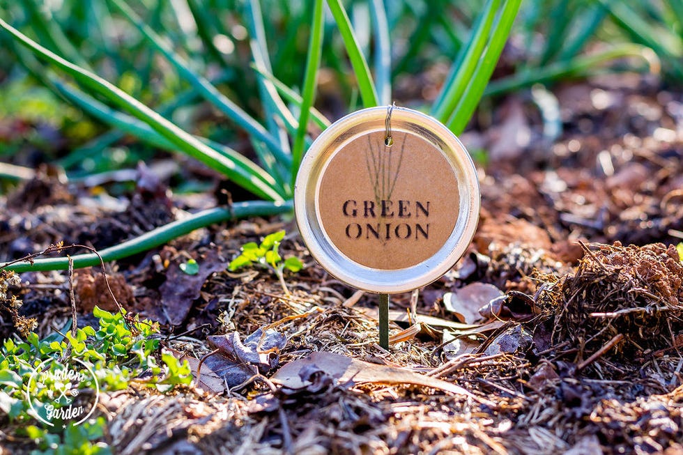 Mason Jar Crafts - Plant Label