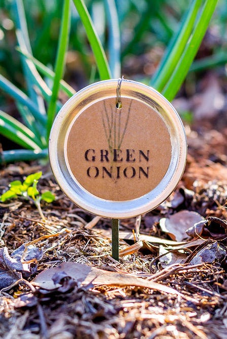 Mason Jar Crafts - Plant Label Mason Jar Crafts - Plant Label