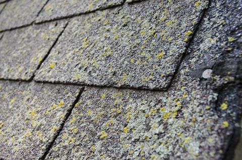 Six Signs You Need To Replace Your Roof