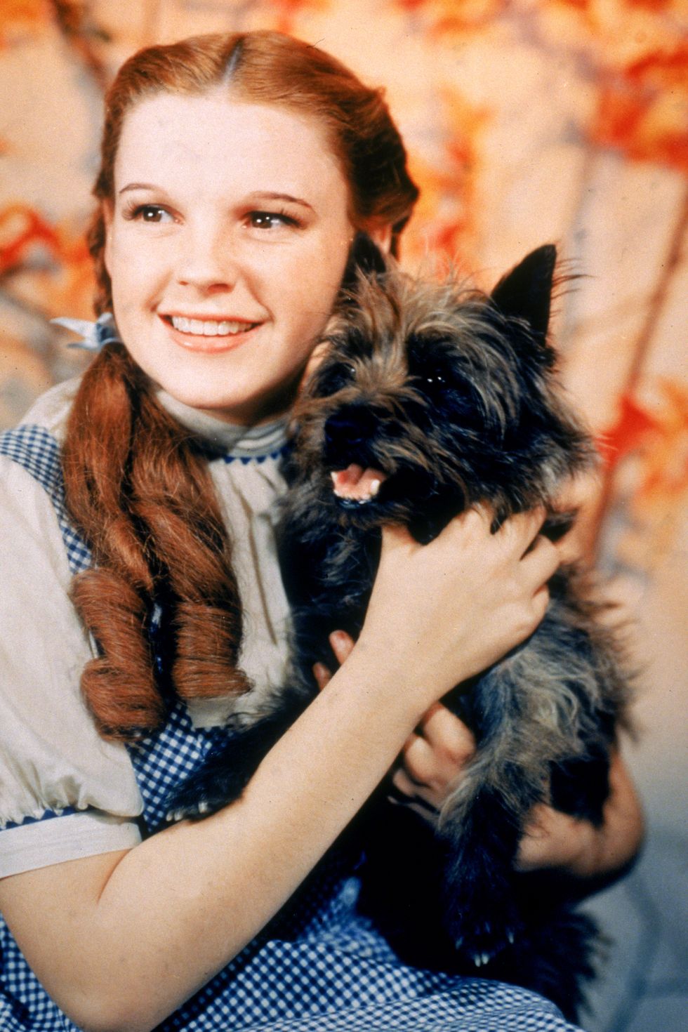 1939: American actor Judy Garland as Dorothy Gale, holding Toto the dog for the film, 'The Wizard Of Oz,' directed by Victor Fleming.