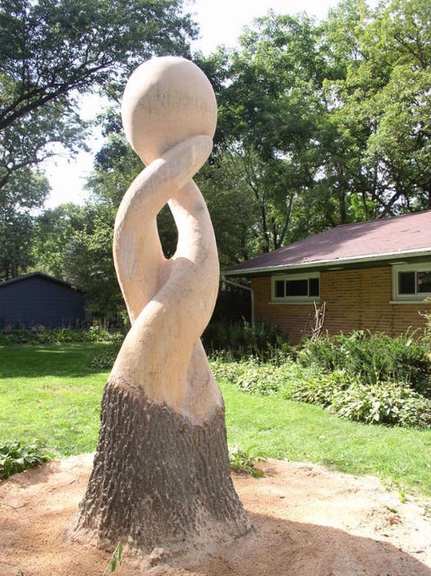 Man Turns Tree Stump Into Art - What To Do With Dead Trees