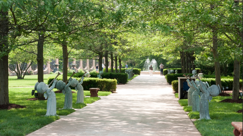 Plant, Garden, Shrub, Tree, Walkway, Woody plant, Park, Groundcover, Shade, Aisle, 