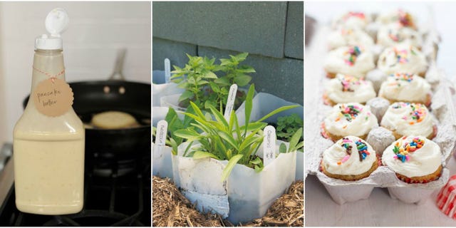 Flowerpot, Food, Houseplant, Flower, Plant, Herb, Cuisine, Ingredient, Dish, Finger food, 