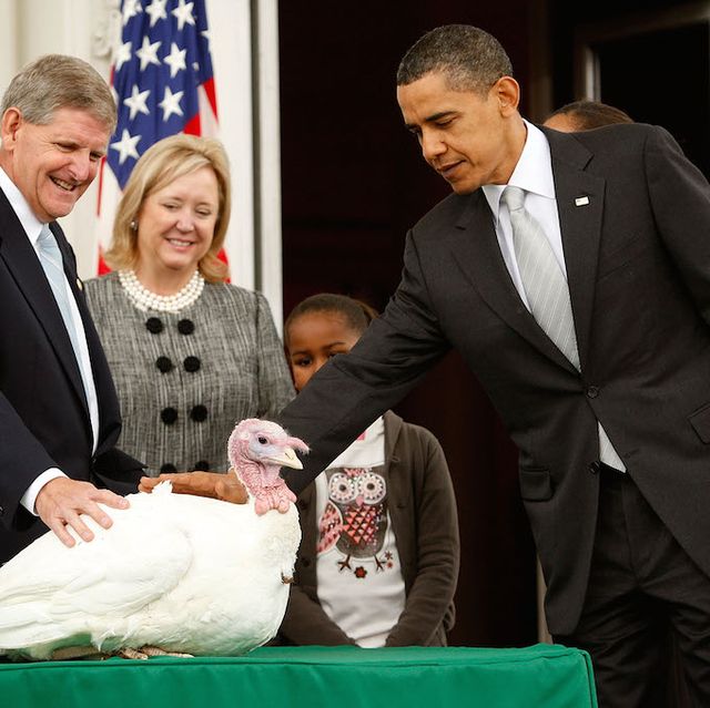 president obama pardoning a turkey on thanksgiving at the white house