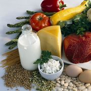 food groups dietary guidelines fruits vegetables meat eggs cheese dairy