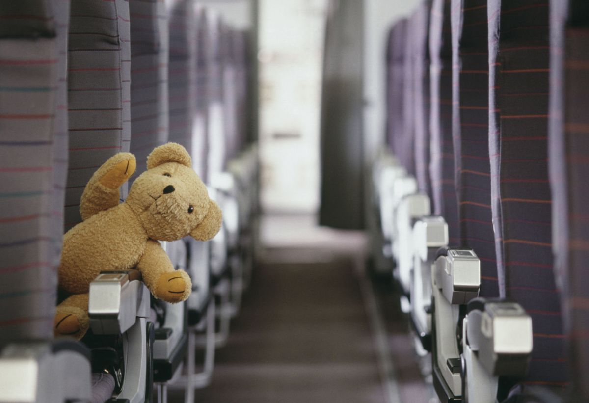 Teddy bear on plane