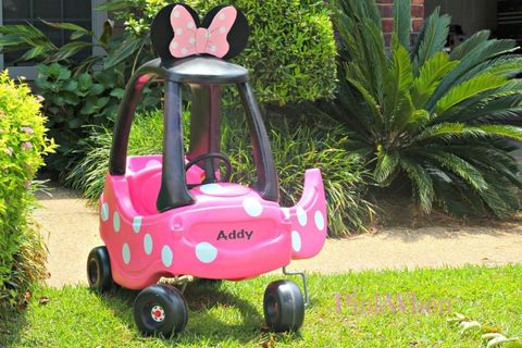 Pink, Magenta, Garden, Shrub, Rolling, Groundcover, Lawn, Yard, Landscaping, Riding toy, 