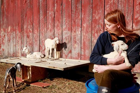 Louisa Conrad kid goats Big Picture Farm Housekeeping on the Edge
