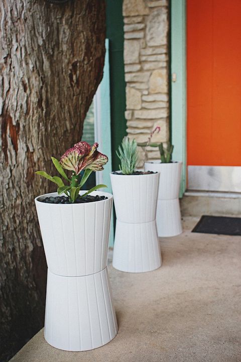 Flowerpot, Trunk, Interior design, Concrete, Plant stem, Vase, Artifact, Perennial plant, Cylinder, Pottery, 