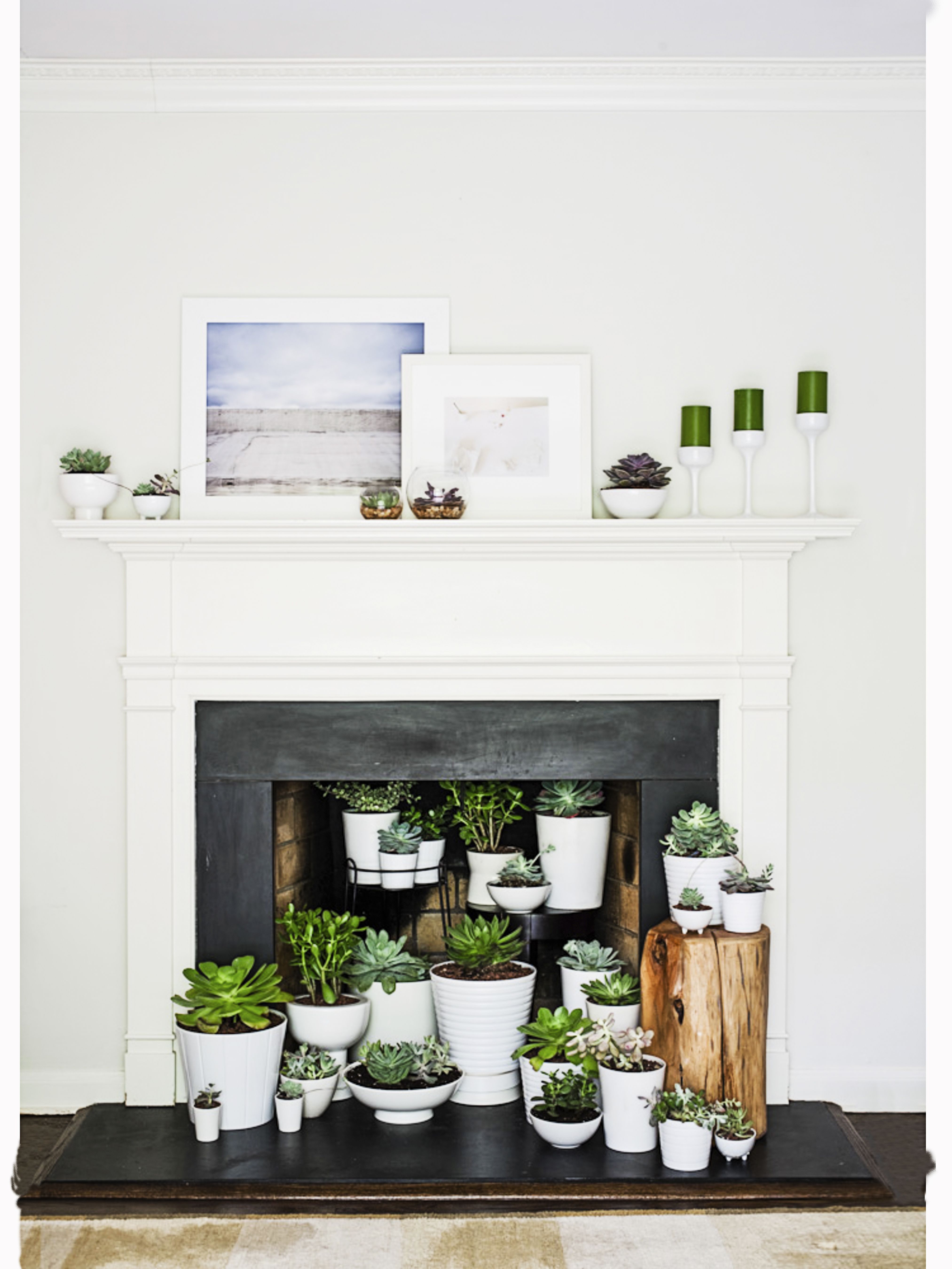DAANIS: Bedroom Fireplace Decor - Plants Fireplace