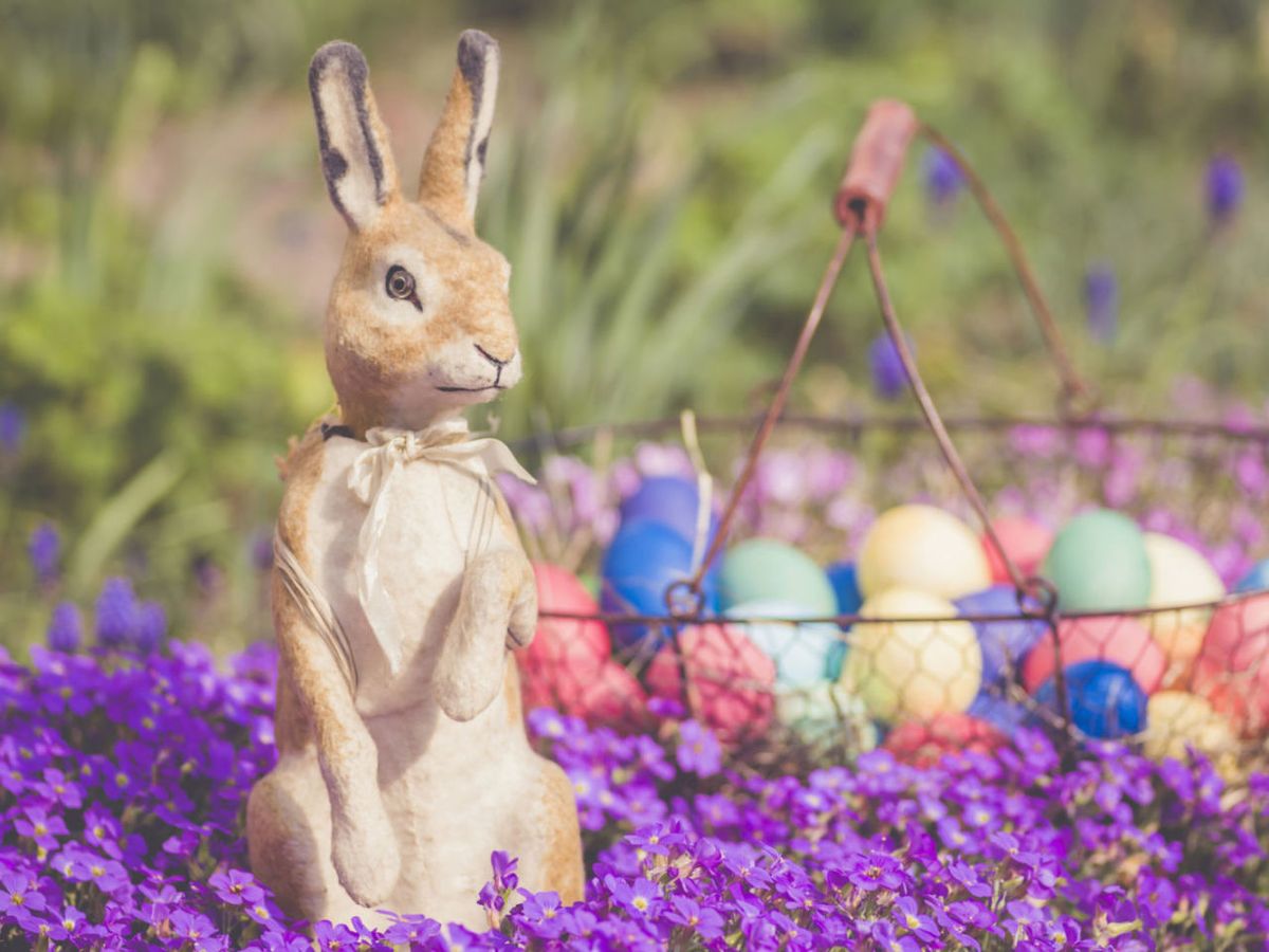 Professional Easter Bunnies Reveal Their Secrets