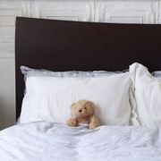 Stuffed Animal in Bed