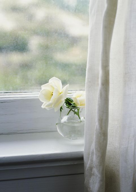 White, Curtain, Flower, Yellow, Textile, Interior design, Plant, Petal, Window, Room, 
