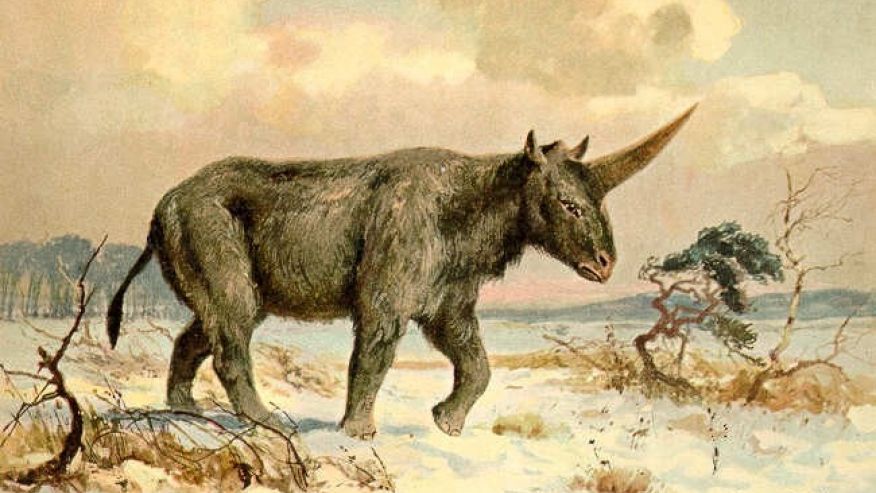 Elasmotherium was an extinct genus of giant rhinoceros native to Asia during the Pliocene through Pleistocene eras. Colour printed illustration by Heinrich Harder from Tiere der Urwelt Animals of the Prehistoric World, 1916 Hamburg. Heinrich Harder (1858-1935) was a German landscape artist and book illustrator. These images come from a series of prehistoric creature cards published by the Reichardt Cocoa company in 1908. Natural historian Wilhelm Bolsche wrote the descriptive text.