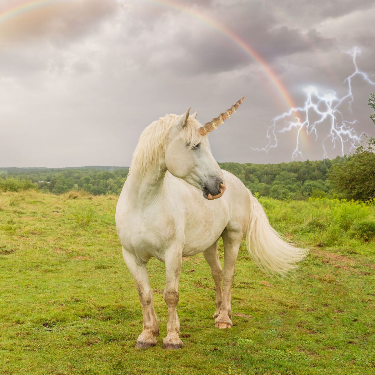 Science Proves That Unicorns Are Real