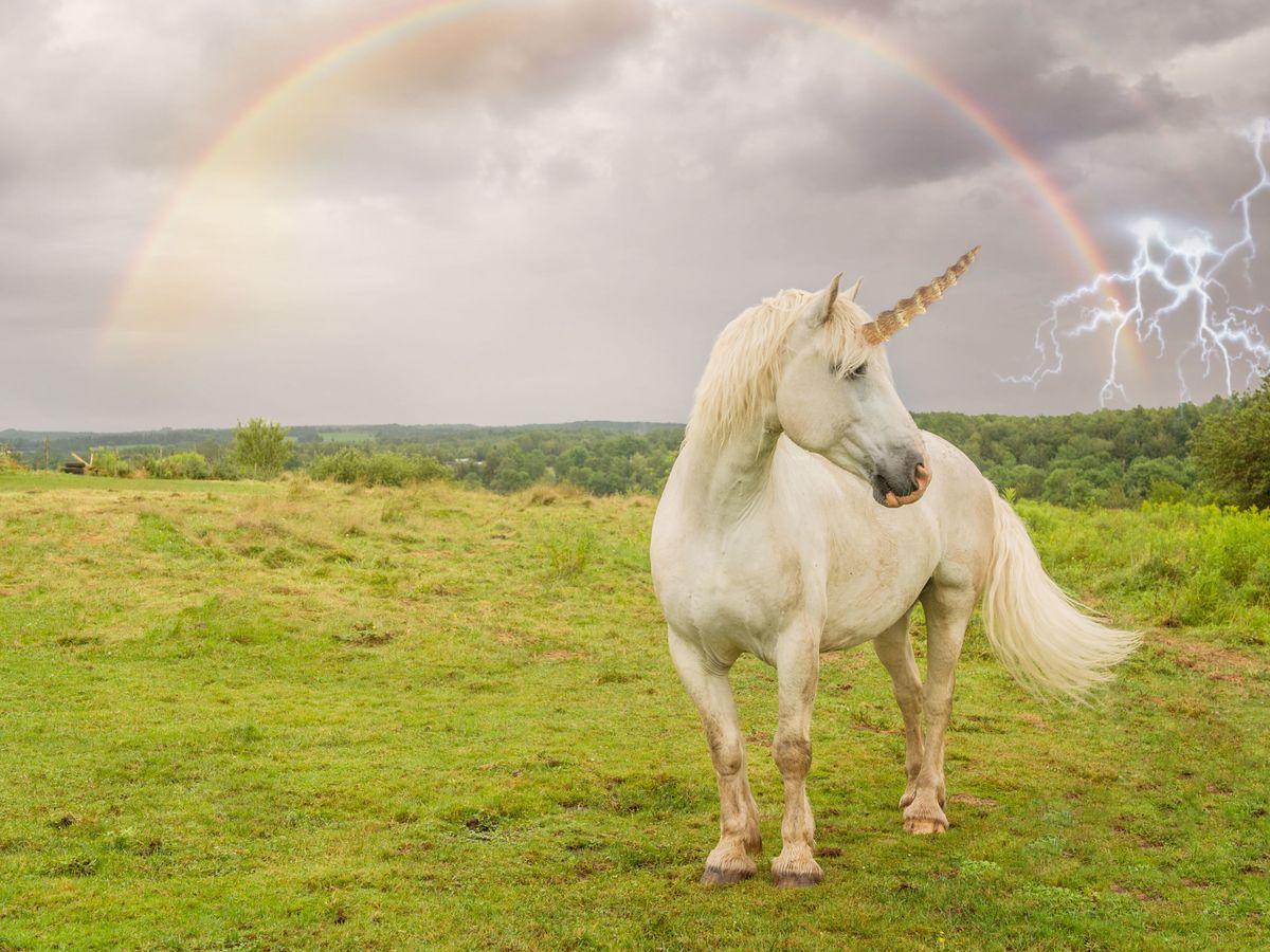 An Incredible Compilation of Authentic Unicorn Pictures - Over 999 ...