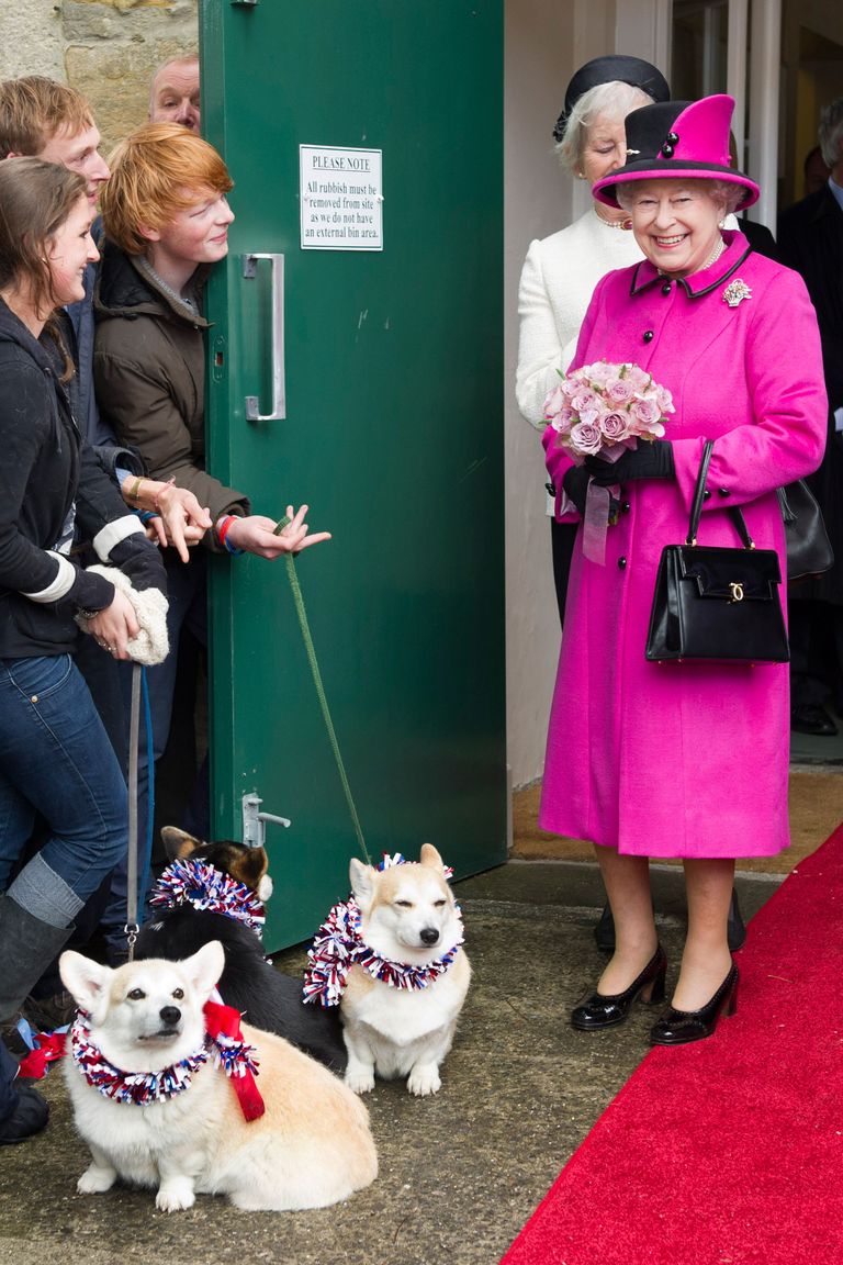 80 Years of the Queen's Royal Corgis - Queen Elizabeth's Dogs