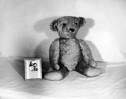 Toy, Stuffed toy, Teddy bear, Bear, Plush, Terrestrial animal, Baby toys, Still life photography, Brown bear, Animal figure, 