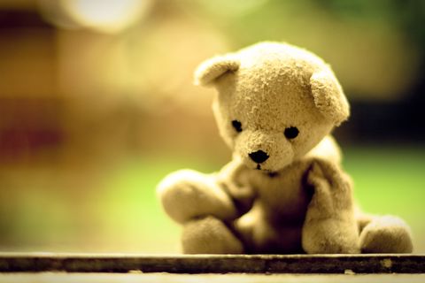 Stuffed toy, Yellow, Toy, Baby toys, Terrestrial animal, Plush, Teddy bear, Bear, Still life photography, Macro photography, 