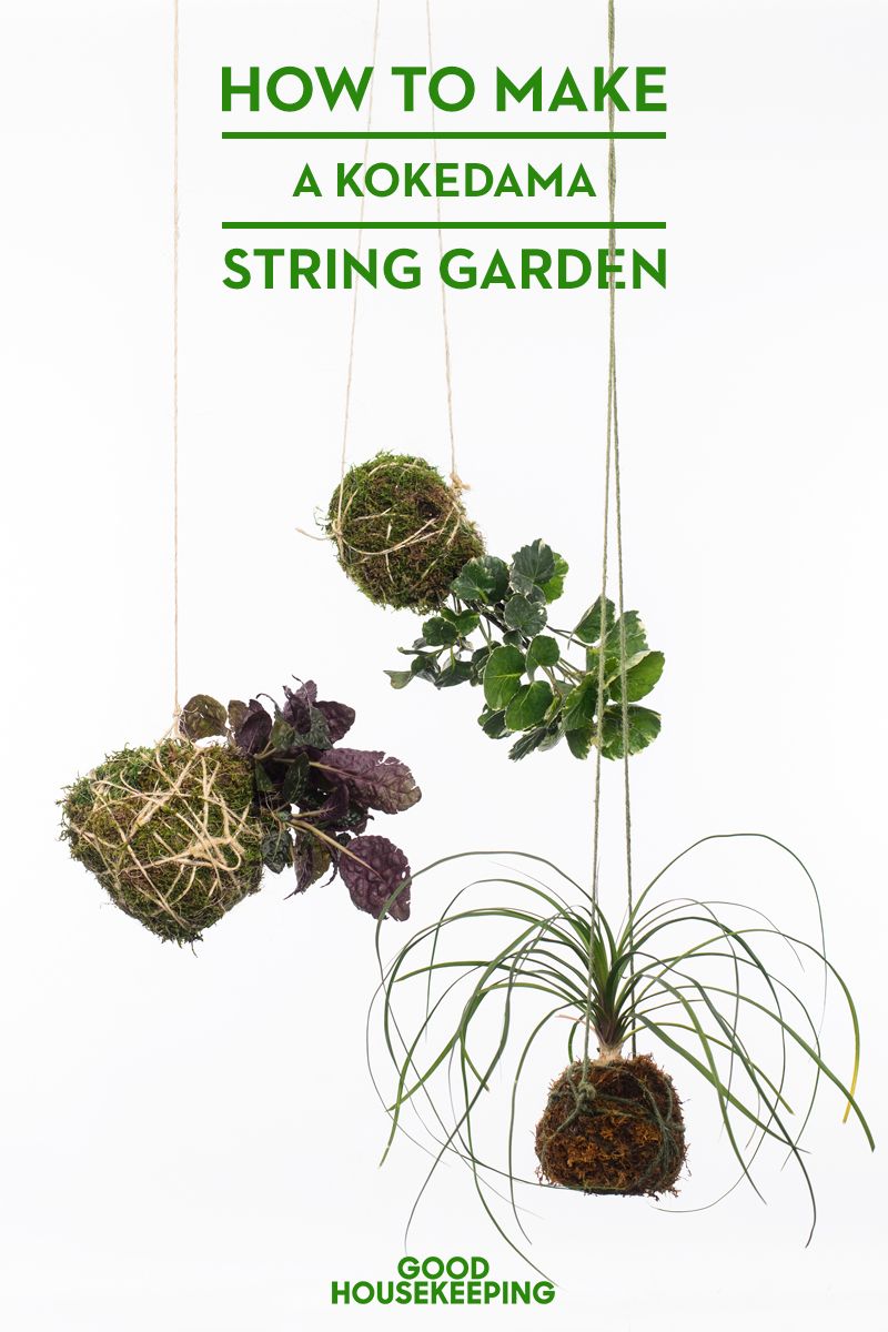 kokedama string garden