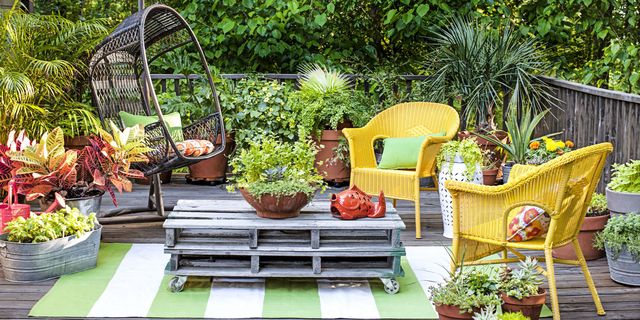 16 Container Gardening Ideas Potted Plant We Love - Plants For Patios Uk