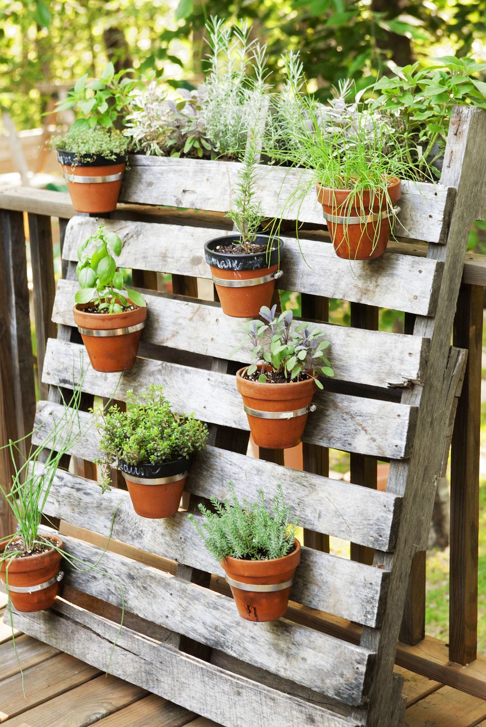 DIY home garden decor idea with a shoe planter and succulents
