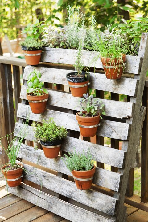 16 Container Gardening Ideas Potted, Herb Garden Table Planter