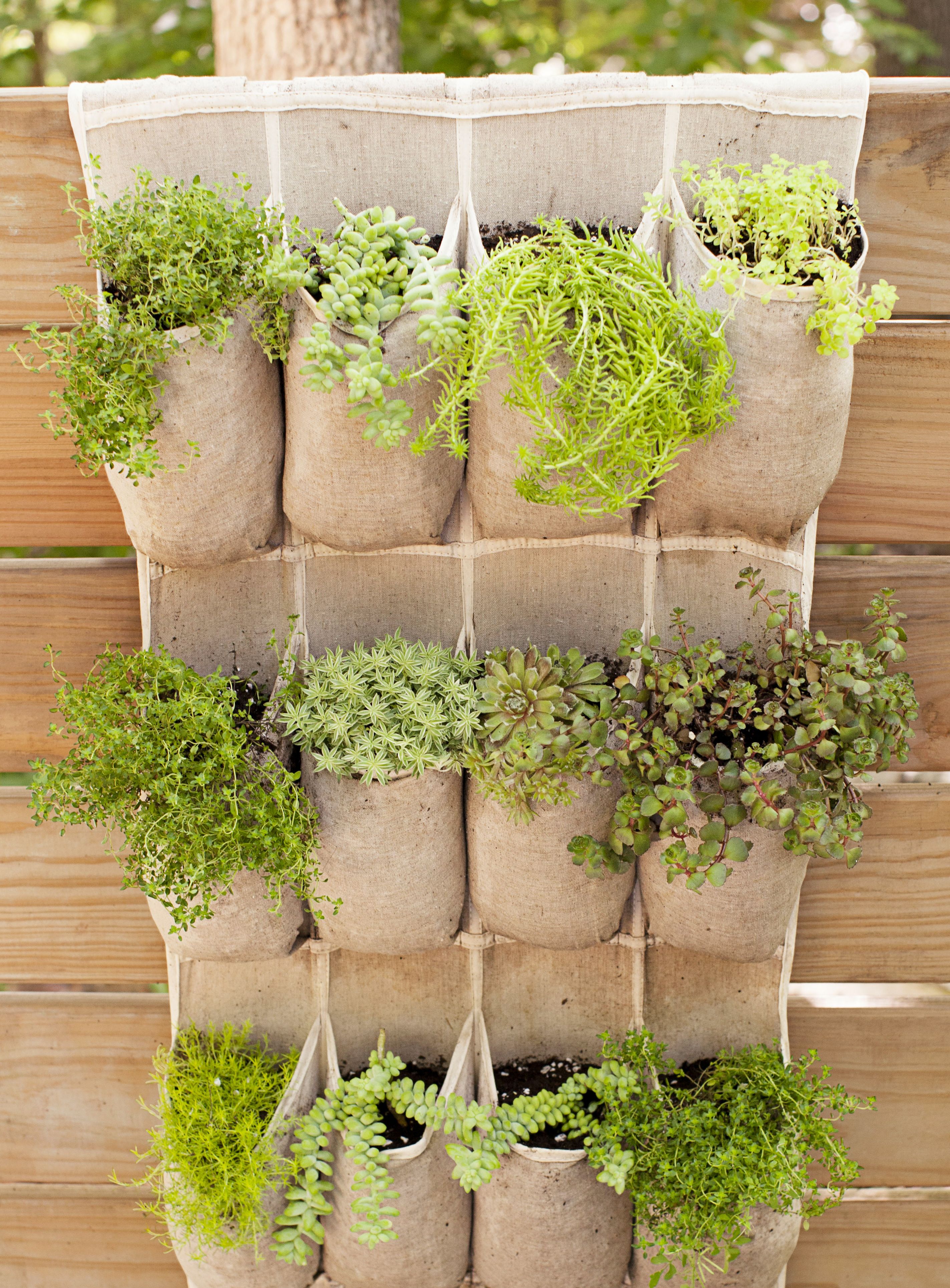 21 Container Gardening Ideas   Potted Plant Ideas We Love