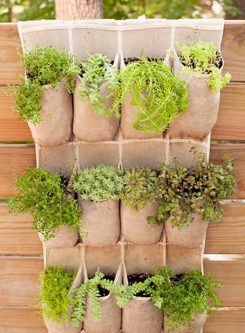 40 Small Garden Ideas Small Garden Designs