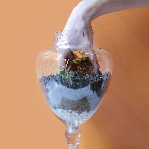 Liquid, Ice, Still life photography, Cocktail garnish, Perennial plant, 