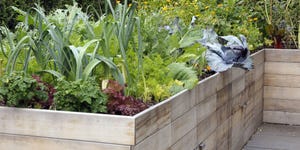 Raised Garden Bed