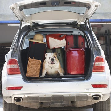 Road Trip Road Trip