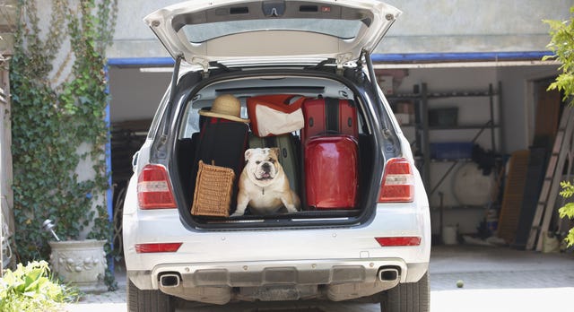 Road Trip Road Trip