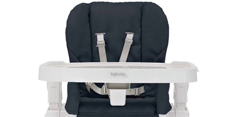 Inglesina best sale gusto reviews