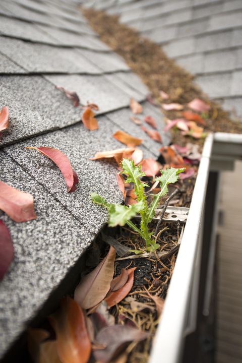 install gutter protectors best cleaning tips