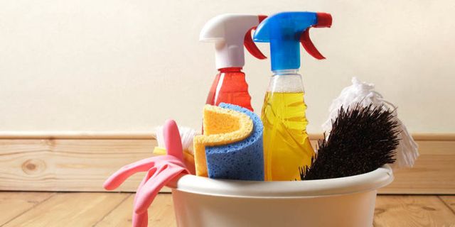 Mop Bucket Clean - Plastic Forte