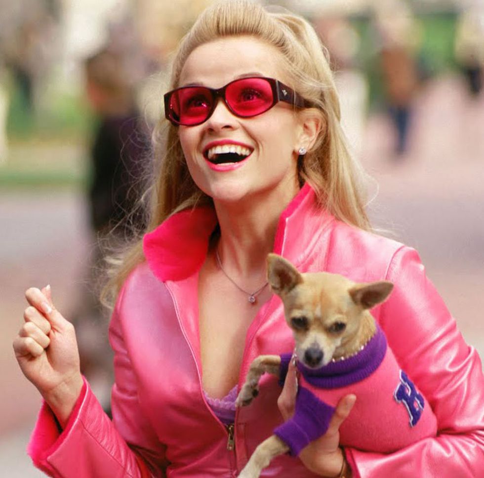 The Cast Of Legally Blonde Then And Now 