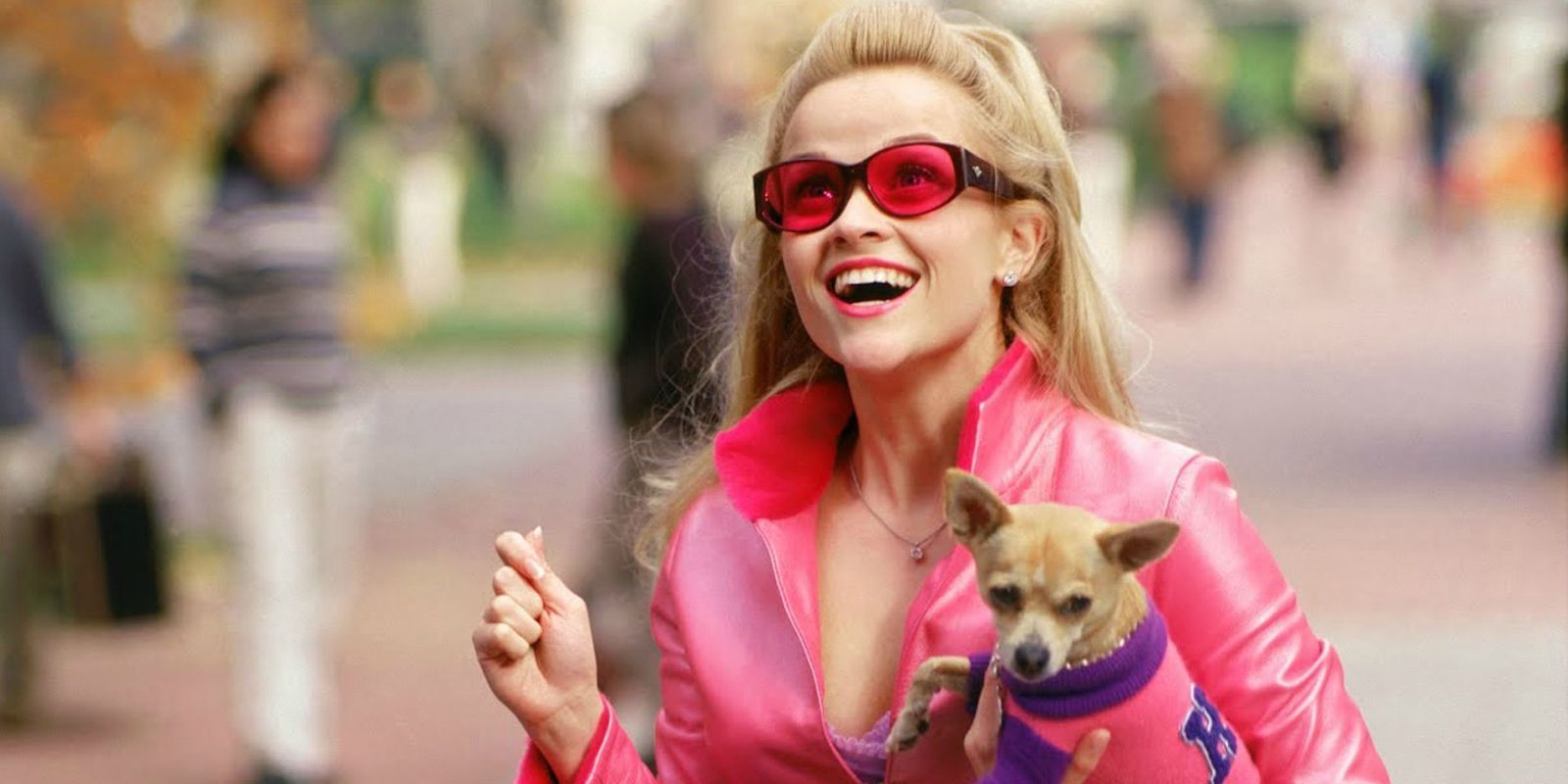 The Cast of Legally Blonde: Then and Now