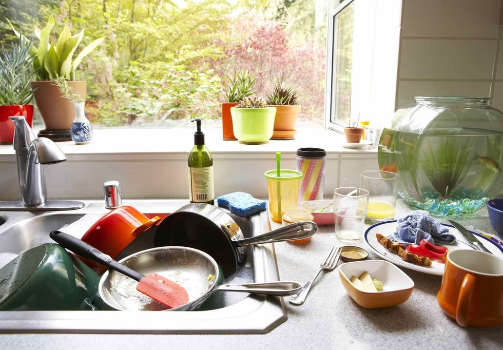 Flowerpot, Dishware, Serveware, Glass, Bottle, Tableware, Houseplant, Mixing bowl, Kitchen utensil, Bowl, 